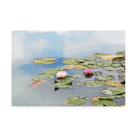 Trademark Fine Art Brooke T. Ryan 'Monets Garden Lily Pads' Canvas Art, 30x47 IC01567-C3047GG